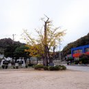 장기초등학교 이미지