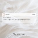 [Wedding Chapter_04]아이폰스냅 얼웨이즈 스냅(Always snap) 계약후기