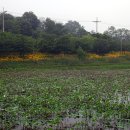 은파관광지 내 이미지