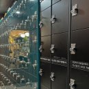 정부청사 입구(대덕대로) 이미지