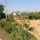 여주한강공인중개사사무소 이미지