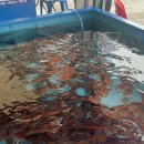 코게러지 호텔 이미지