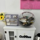 여시까까 이미지