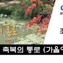 축복의통로