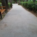 자산솔밭공원 이미지