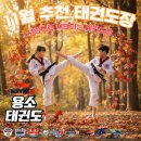 용소 태권도장 네이버블로그