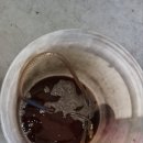 현대스피드크리닝 이미지