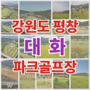 대화파크 이미지