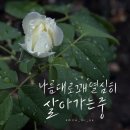 위아래자리 이미지