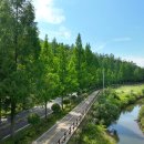 보성아이스크림 이미지