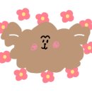 형제동물병원 이미지