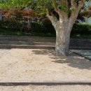 함창중앙초등학교병설유치원 이미지