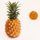 파인애플 이미지