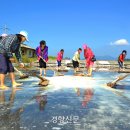 만돌어촌체험휴양마을 이미지