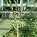 나비부화장 이미지