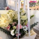 샤론  꽃  화원 이미지