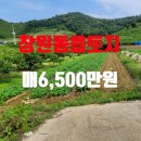 황금터농장 이미지