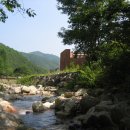 밤나무길 이미지