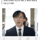 서울대 교수들 &#34;조국 부녀보단 논문 교신저자 책임 큰 듯&#34; 이미지