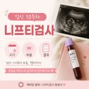 제노치과의원 | 임신 10주차 니프티 검사 후기 | 시기 결과 비용 (금액비교)