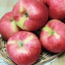 달콤한 사과이야기 이미지