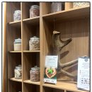 도남한의원 | 번아웃 오기 전 꼭 체크해야 할 우리 몸의 경고등, 스트레스 누적 시 나타나는 초기 이상 신호들