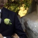 동해안생골뱅이 이미지