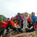 사랑목장 이미지