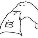 슈가탕후루 이미지