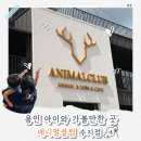 애니멀 패밀리 | [공지] 용인 수지 아이와 가볼만한 곳 🐾 애니멀클럽 수지점 실내 동물체험 후기
