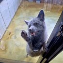 마리앤쥬 이미지