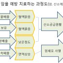 암 환자들이 속고 있는 두가지(인삼 ,소금 해롭다는 말) 이미지