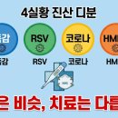 H-026 | 독감·RSV·코로나·HMPV 동시유행, 증상별 구분법 총정리 (2026 봄)