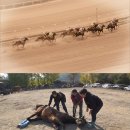 상금농장 이미지