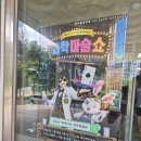 고삼면복지회관 대강당 | 인천 아이랑 가볼만한 곳, 인천 실내 아이랑 가기 좋은 곳[마술사 제이티의 과학실험실]