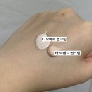 에스테틱 썬비비 디오메르 톤업 썬크림 여름쿨톤 추천