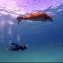 광정초등학교 이미지