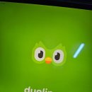 서서동물의료센터 | 후기_솔닥 비대면진료 어플로 집에서 편하게 제로이드 엠디 크림 구매 후 실비 청구 하기