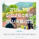 초록식당 | 가평 아침고요수목원 식당 카페 초록상점 내돈내산 이용 후기