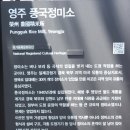 영주 풍국정미소 이미지