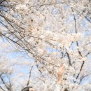 (주)호텔롯데 롯데시티호텔대전 이미지