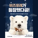 포레마케팅