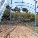 만경농장1 이미지