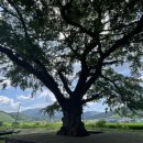 화순초등학교이서분교장 이미지