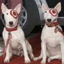 달려라 바우 이미지