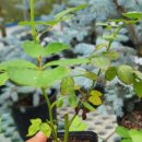 우리농장 이미지