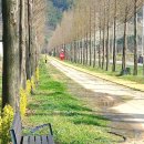 수덕펜션 이미지