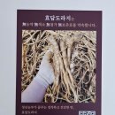 효담도라지