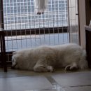 겨울이머무는집 이미지