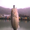 거두리낚시터 이미지